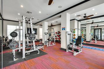 A gym with a variety of equipment including weights and a bench.
